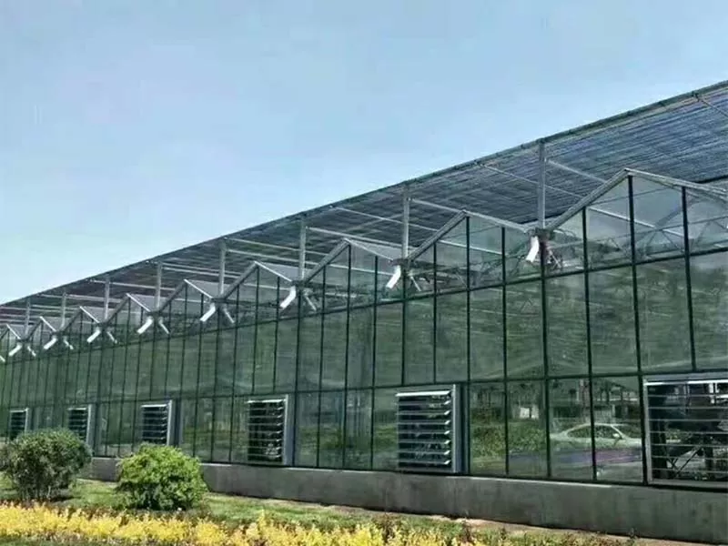 Hva gjør Steel Vertical Farm til fremtiden for bærekraftig landbruk?